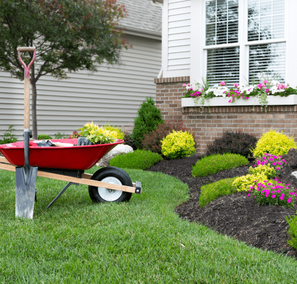Service Image