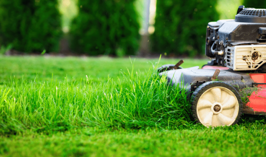 Santos Calmo's Yard Service